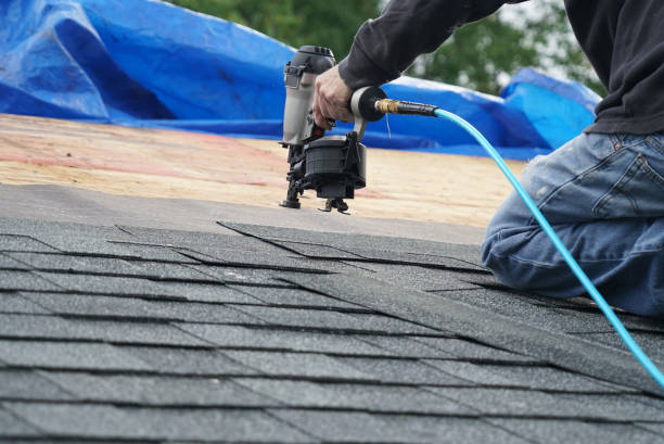 Best Roof Gutter Cleaning  in Red Oak, IA