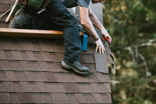 Best Roof Gutter Cleaning  in Red Oak, IA